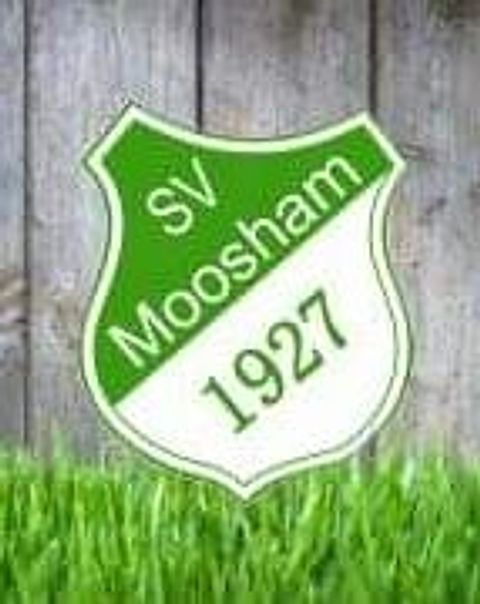 Foto: SVM