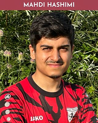 Mahdi Hashimi