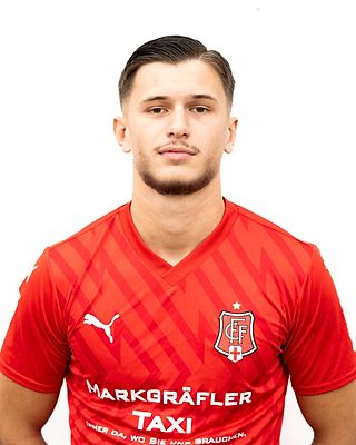 Amir Basholi