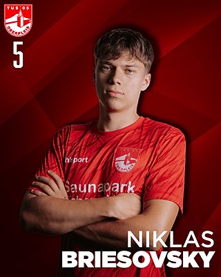 Niklas Briesovsky