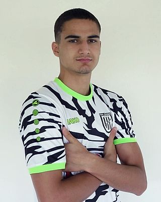 Anri Dvalishvili