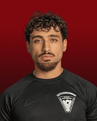 Emre Ergel