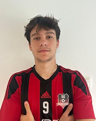 Alin-Christian Dragomir