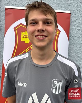 Theo Sommer