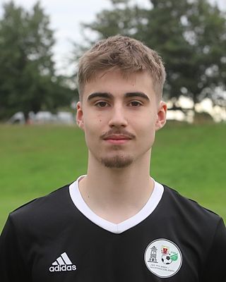 Bennett Levin Homann