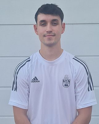 Deian Stiubea