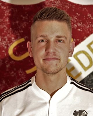 Alexander Laur