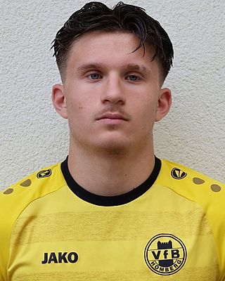 Loui Mato Šapina