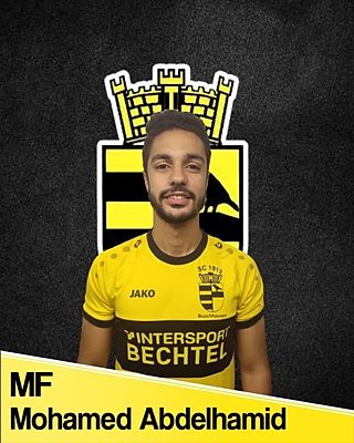 Mohamed Magdy Mohamed Abdelhamid
