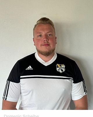 Domenic Scheibe