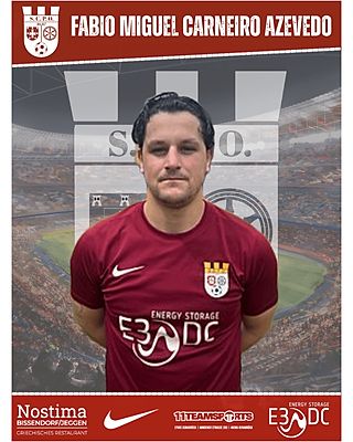 Fabio Miguel Carneiro Azevedo