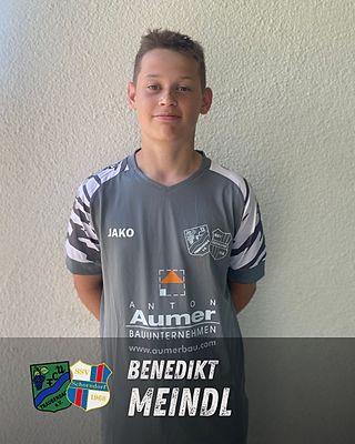Benedikt Meindl