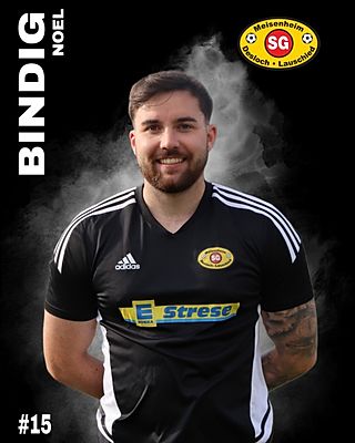 Noel Martin Bindig