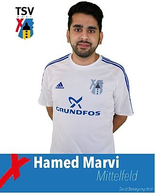 Hamed Marvi