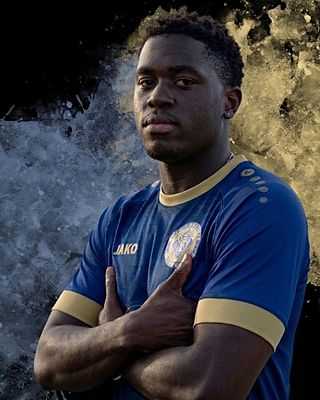 William Tefounou