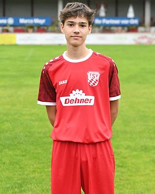 Georg Holzmann