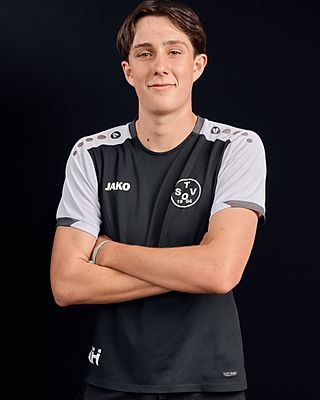 Niklas Ingerl