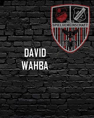 David Wahba