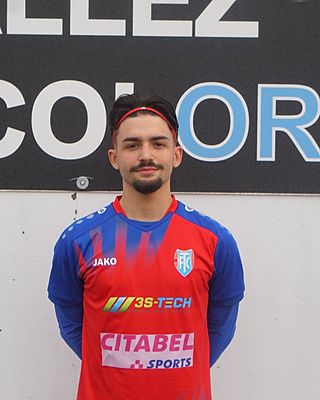 William Luis Freitas Goncalves