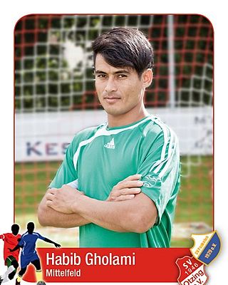 Habib Gholami