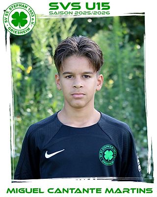 Miguel Cantante Martins