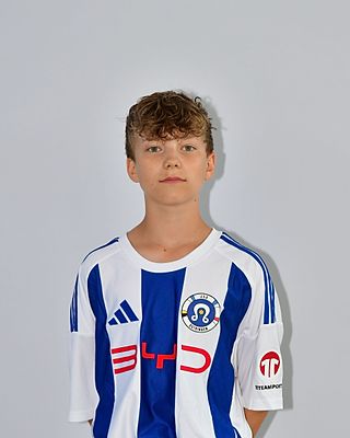 Johannes Mikisek