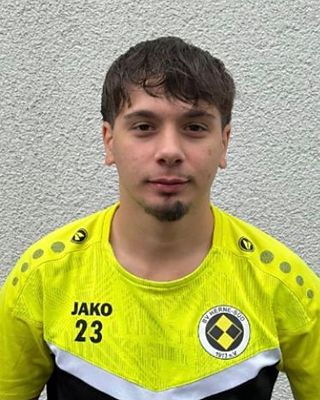 Vincenzo Leandro Palma