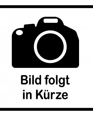 Armin Floritz