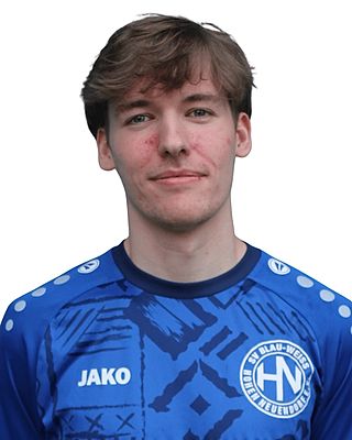Theo Handschug