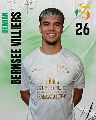 Demian Bernsee Villiers