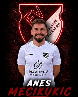 Anes Mecikukic