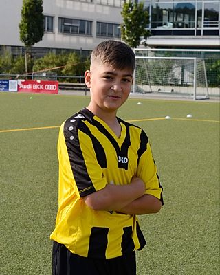 Michele Pio Falsone