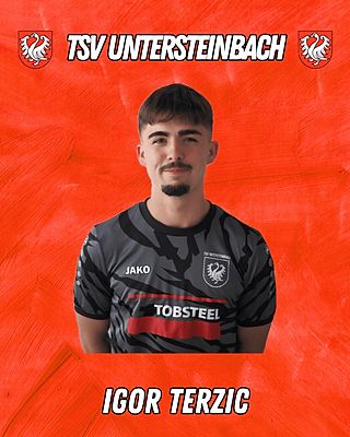 Igor Terzic