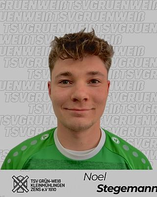 Noel Leandro Stegemann