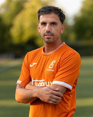 Luis Antunes Rodrigues