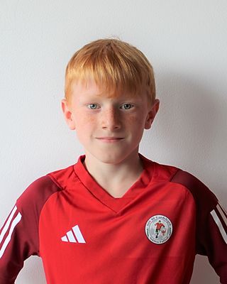 Mika Wolfgang Gustav Dannies