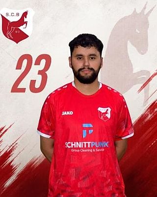 Denilson Gerardo Bogarin Gomez