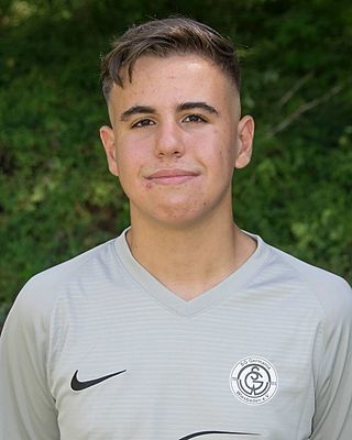 Nikolaos Anagnostakis