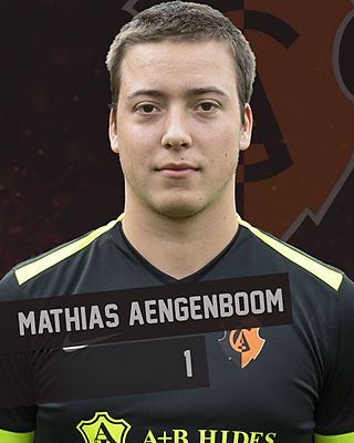 Mathias Aengenboom