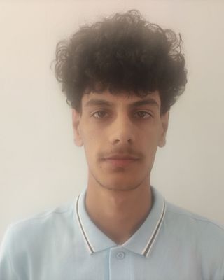 Mohammad Ramin Rasouli