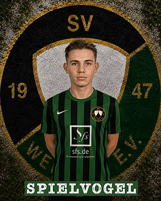 Lukas Spielvogel