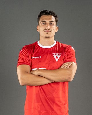 Luka Milenkovic