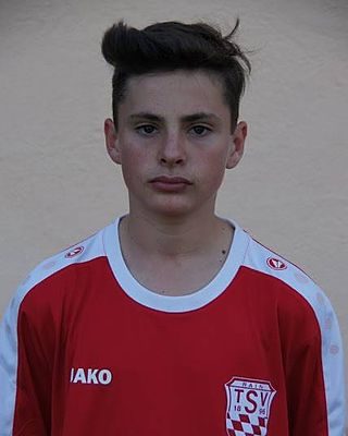 Niklas Sailer