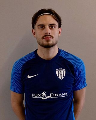 Ioannis Tzionas