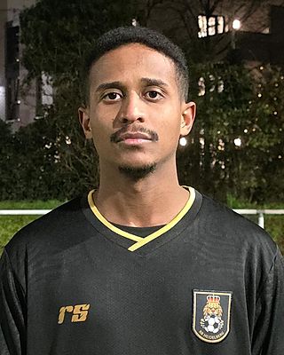 Hussam Babiker Mohamed Alamin