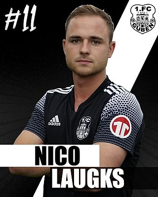 Nico Laugks