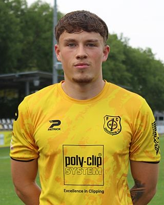 Niklas Voit