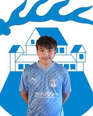 Daniel Ribeiro Borges