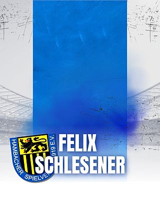 Felix Schlesener