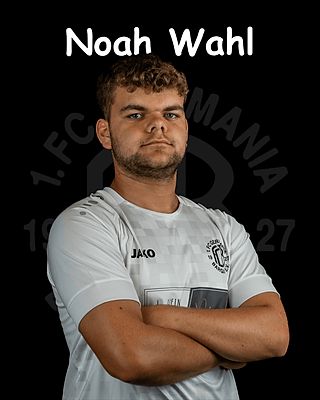 Noah Wahl